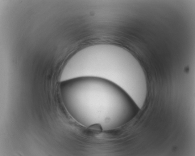 X0000114400268200910161103