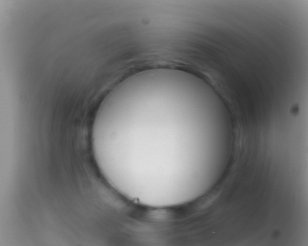 X0000114400269200910161103