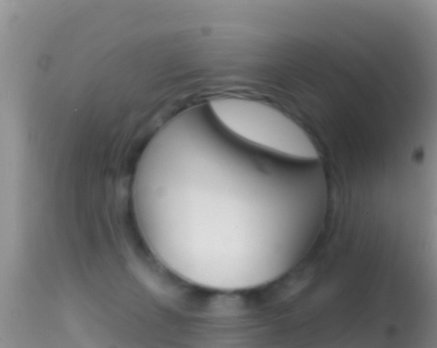 X0000114400271200910161103