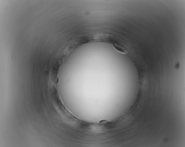 X0000114400272200910161103
