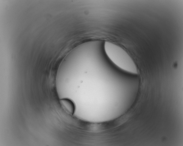 X0000114400273200910161103