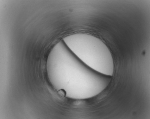 X0000114400274200910161103