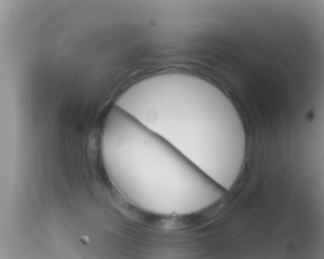X0000114400275200910161103