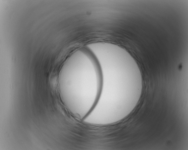 X0000114400276200910161103