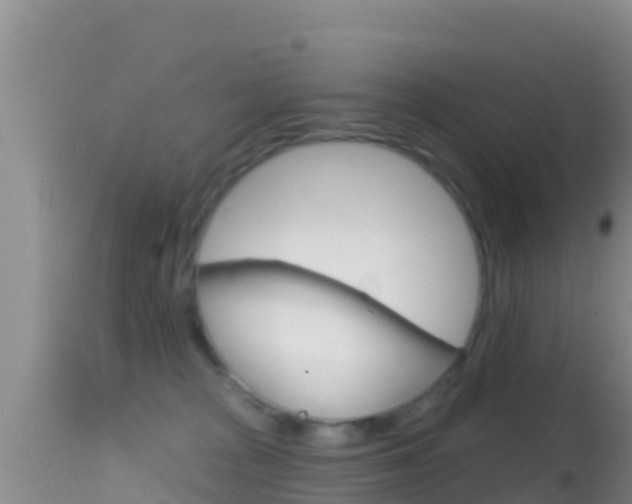 X0000114400277200910161103