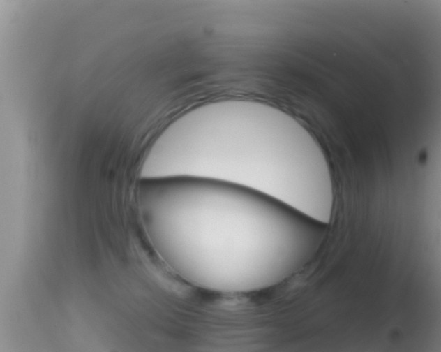 X0000114400278200910161103