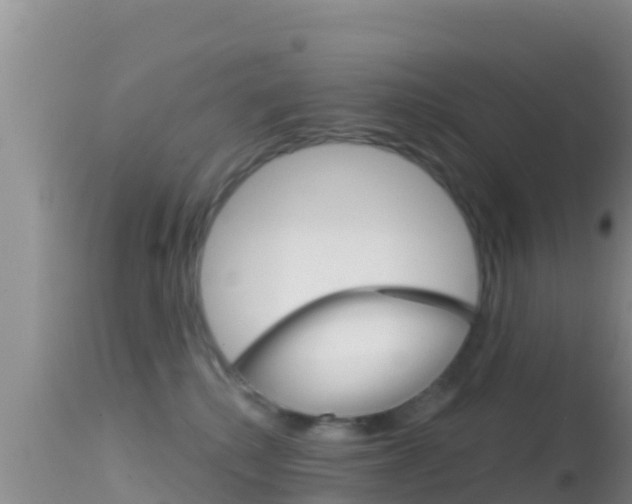 X0000114400280200910161103
