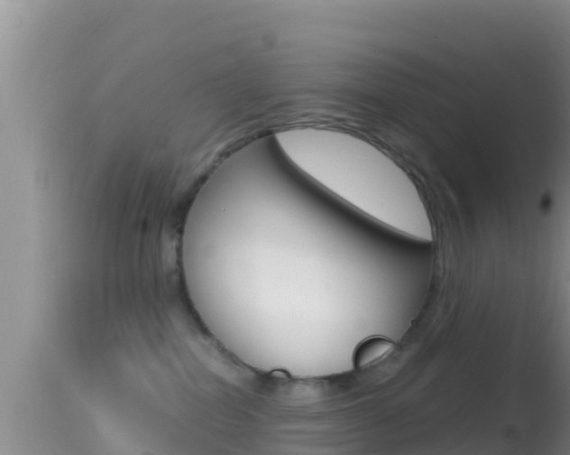 X0000114400282200910161103