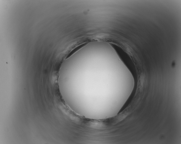 X0000114400284200910161103