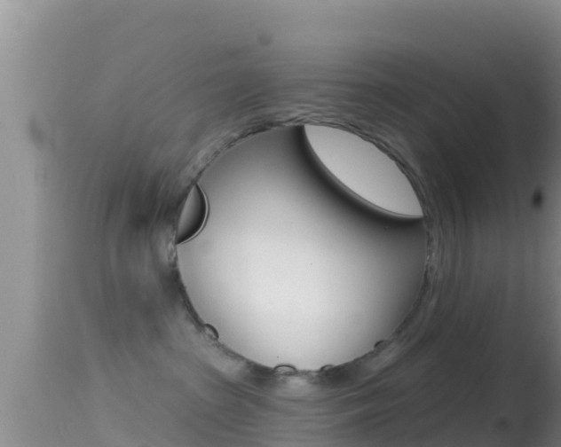 X0000114400285200910161103