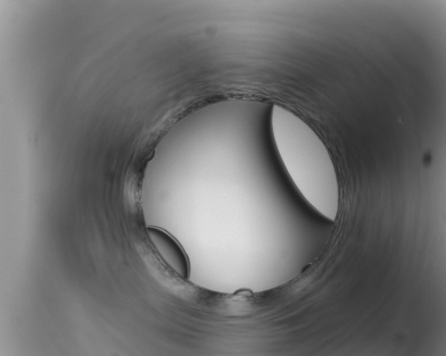 X0000114400287200910161103
