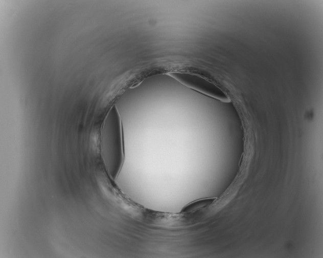 X0000114400288200910161103