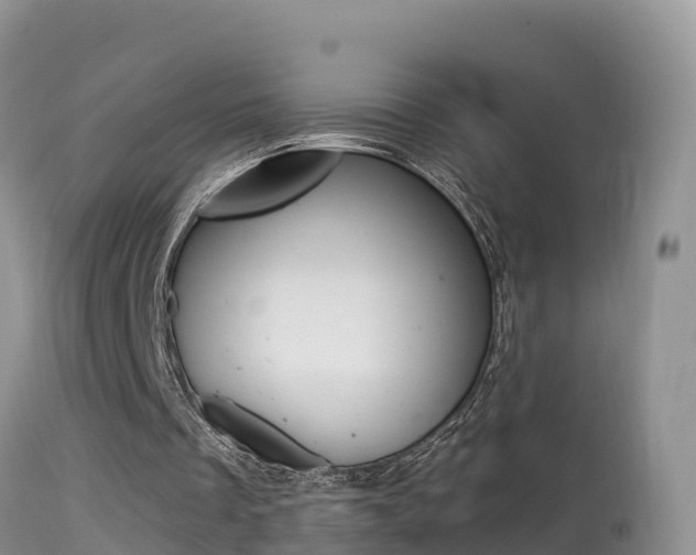 X0000114400289200910161103