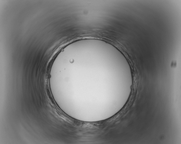 X0000114400290200910161103