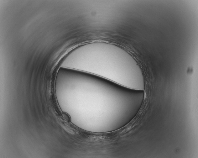 X0000114400291200910161103