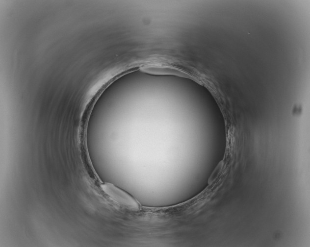 X0000114400292200910161103