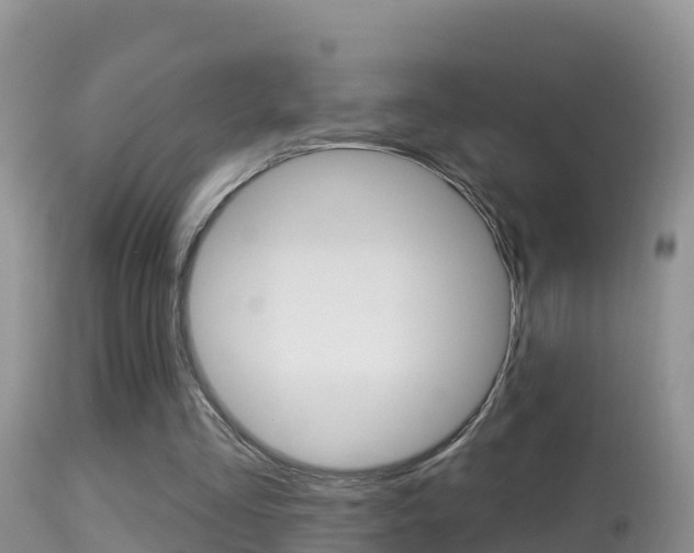 X0000114400293200910161103