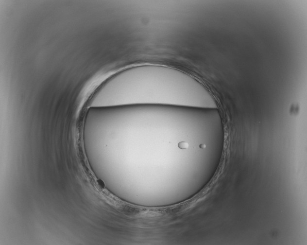 X0000114400294200910161103