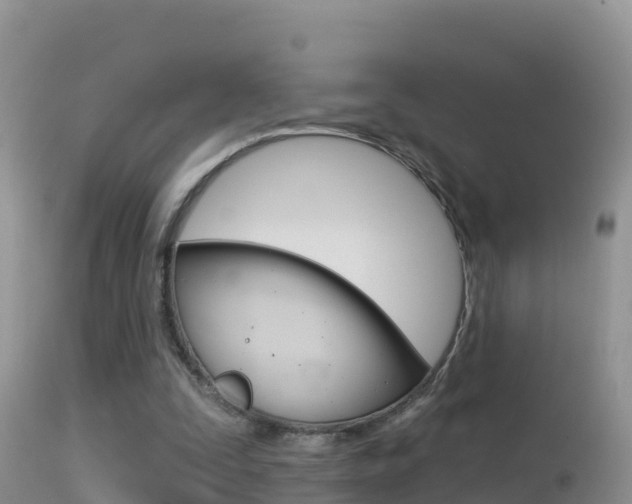 X0000114400295200910161103