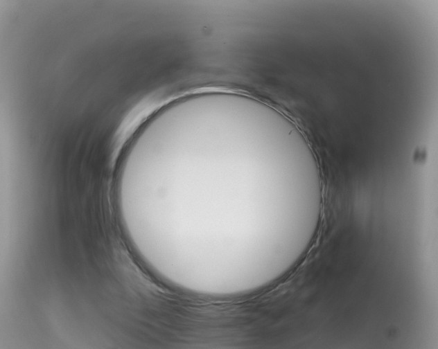 X0000114400296200910161103