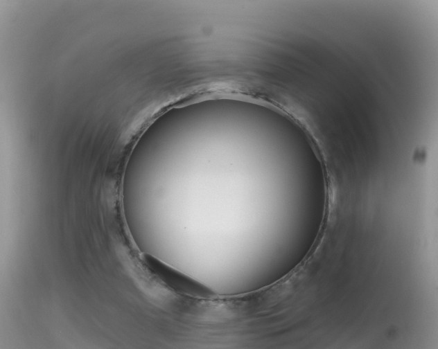 X0000114400297200910161103