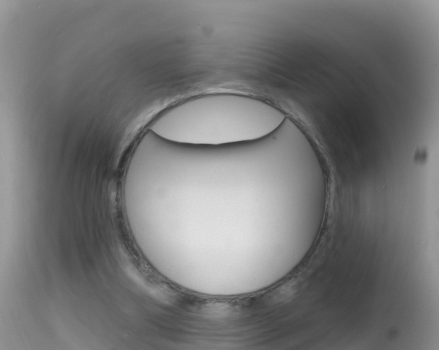 X0000114400298200910161103