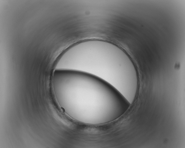 X0000114400299200910161103