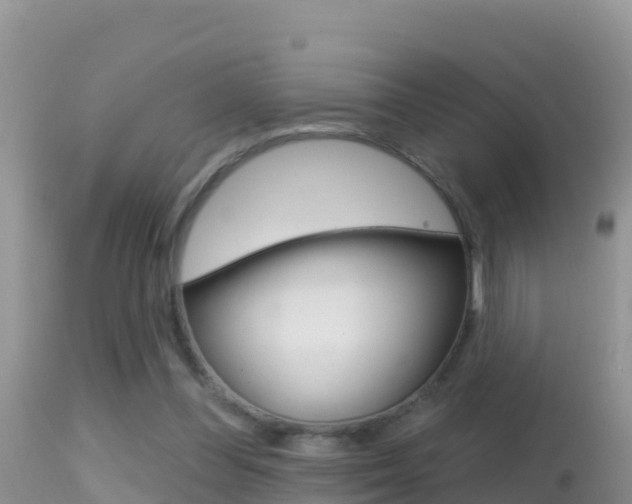 X0000114400300200910161103