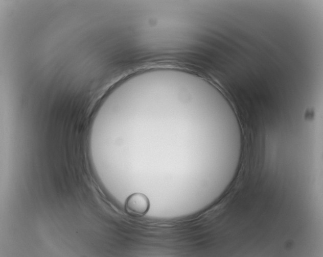 X0000114400301200910161103
