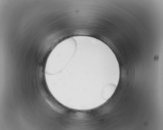 X0000114400302200910161103
