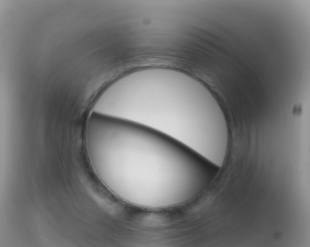 X0000114400303200910161103