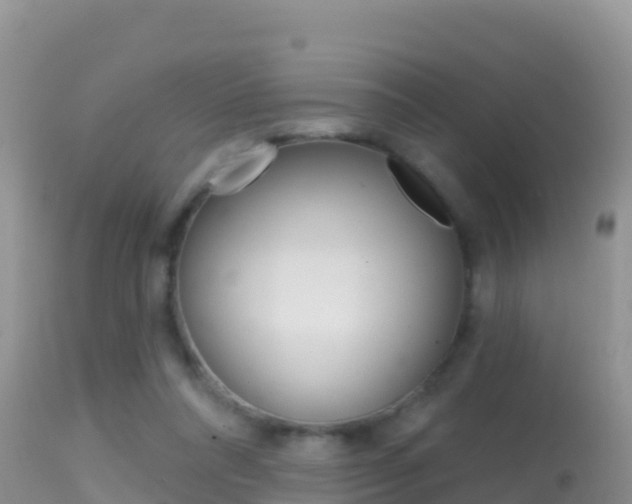 X0000114400304200910161103