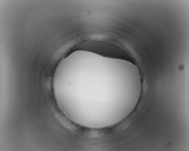 X0000114400305200910161103
