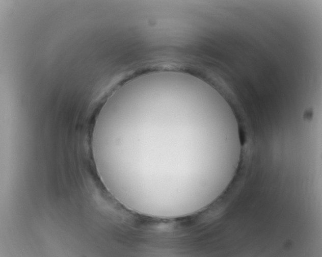 X0000114400306200910161103
