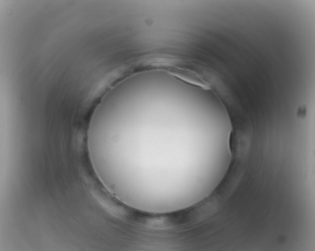 X0000114400309200910161102