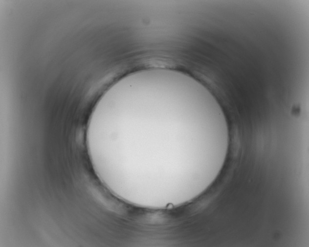 X0000114400310200910161102