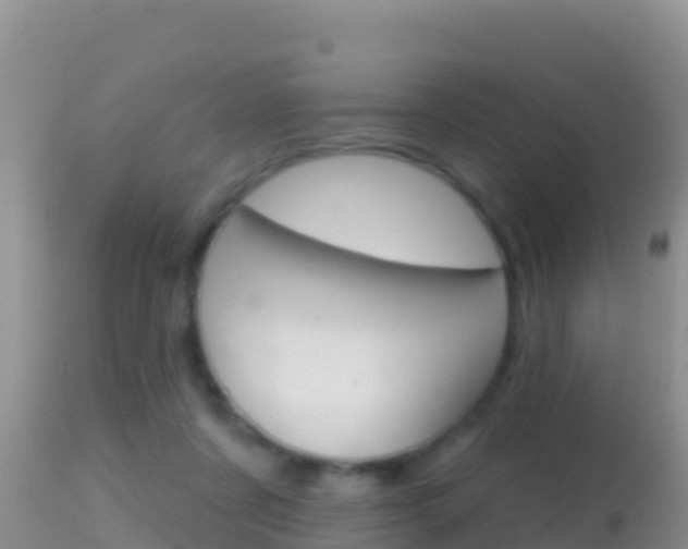 X0000114400311200910161102