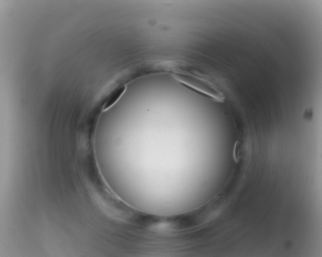 X0000114400312200910161102
