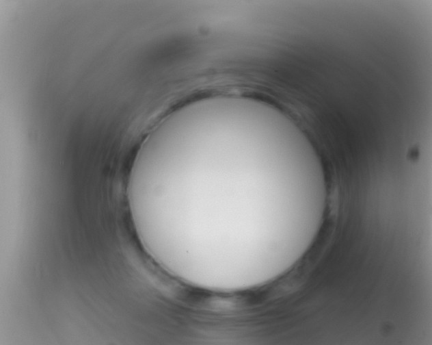 X0000114400314200910161102