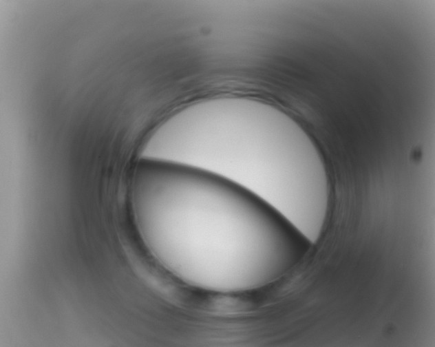 X0000114400315200910161102