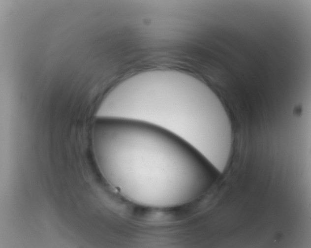 X0000114400319200910161102