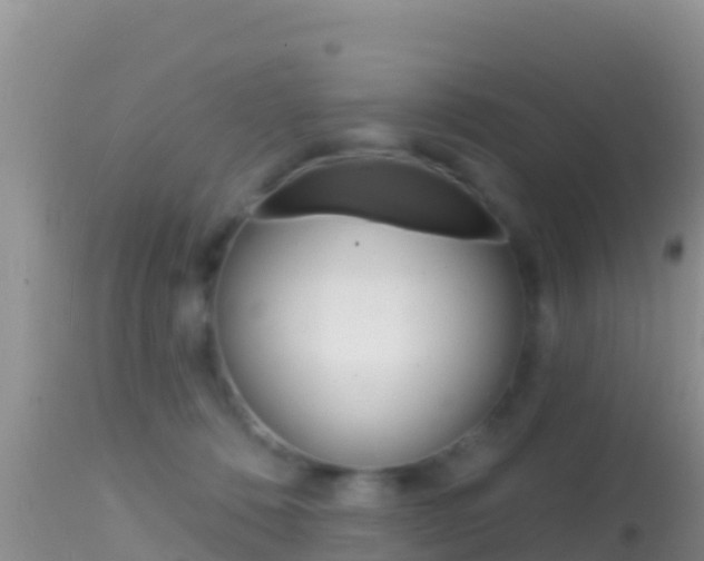 X0000114400320200910161102