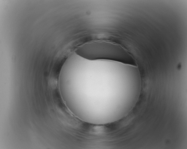 X0000114400324200910161102