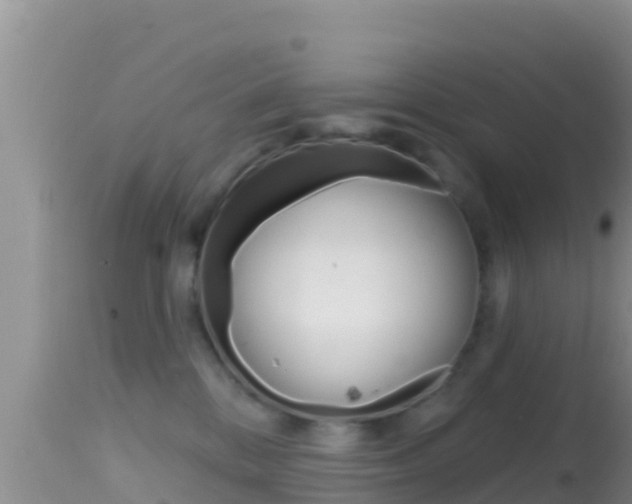 X0000114400328200910161102
