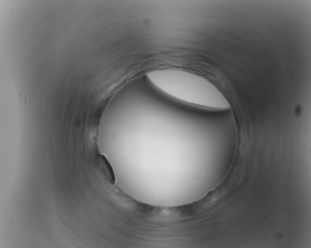 X0000114400329200910161102