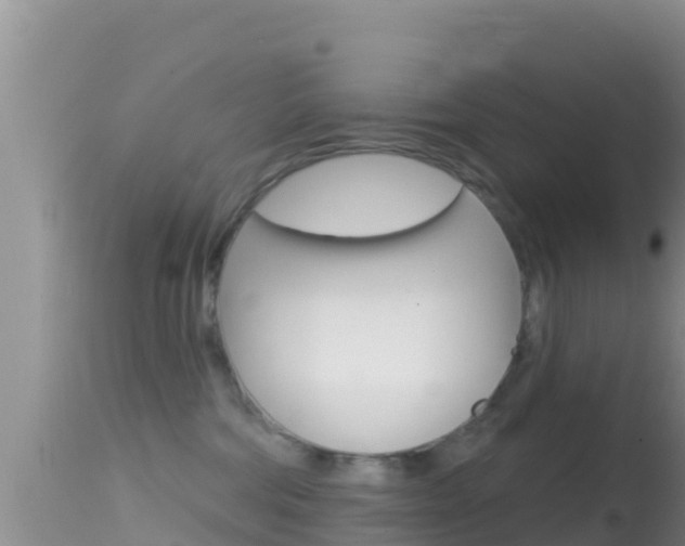 X0000114400330200910161102