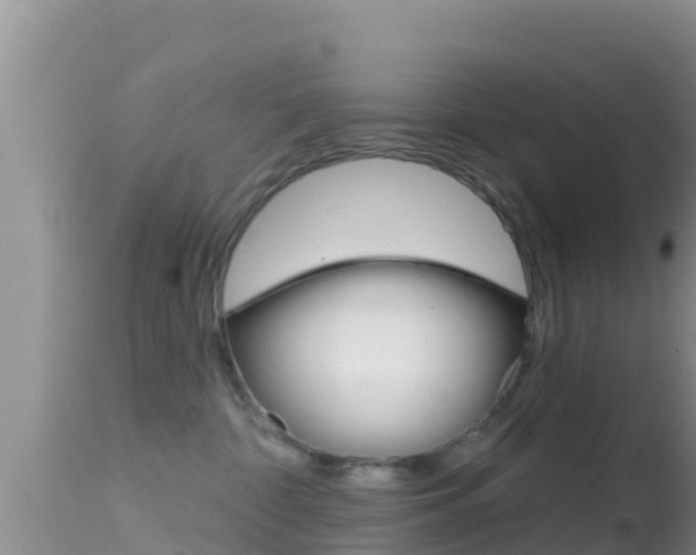 X0000114400332200910161102