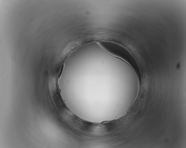 X0000114400333200910161102
