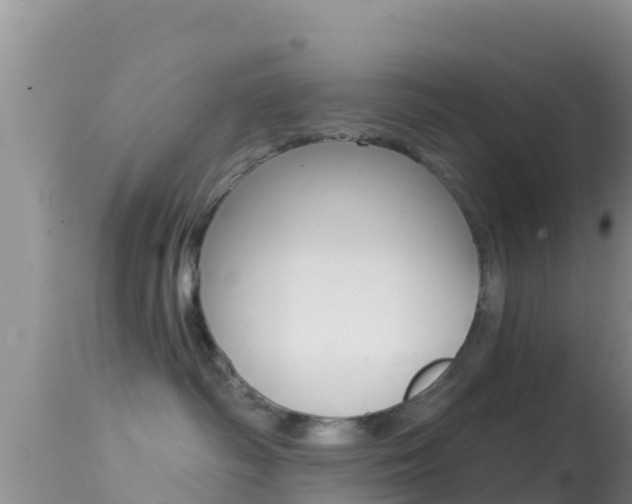 X0000114400334200910161102