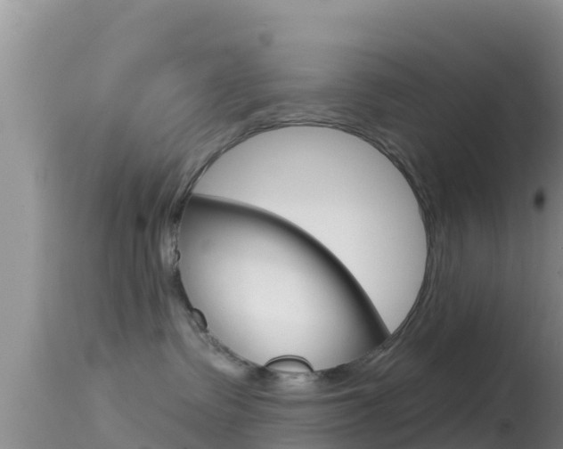 X0000114400335200910161102